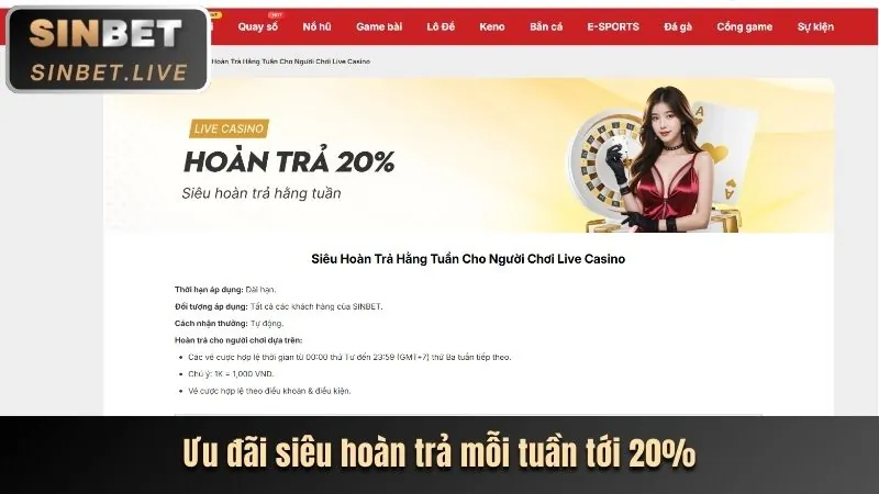 Hình ảnh minh họa cập nhật điều khoản và điều kiện của SC880